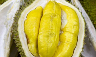 榴莲和芒果能一起吃吗（榴莲男人吃了能壮阳吗）