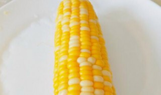煮水果玉米要煮多久呢 煮水果玉米需要多长时间能熟