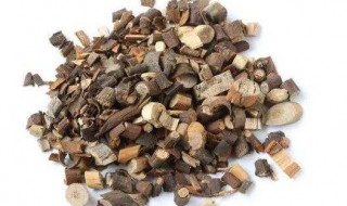 桂枝炙甘草功效与作用(桂枝炙甘草功效与作用与禁忌)