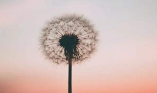 2022年发朋友圈语录（2022年发朋友圈语录怎么写）