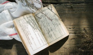 背影分段概括（背影分段概括主要内容）