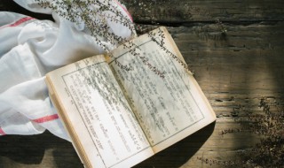 醉月频中圣迷花不事君的意思 醉月频中圣迷花不事君是哪位诗人的名句