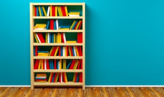 说服力读音（说服力读音到底是什么）