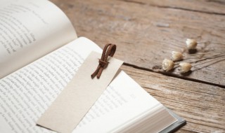 西游记第八十八回概括（西游记第八十八回概括20字）