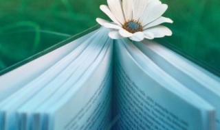 用真像写句子 用真像写句子有哪些