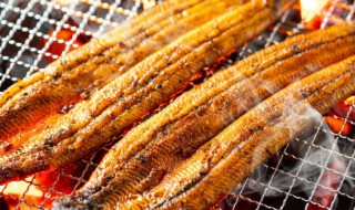 吃鱼的好处是什么（吃鱼的好处和坏处是什么）