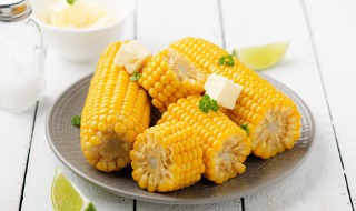 土豆玉米炖排骨的做法 土豆玉米炖排骨的做法窍门