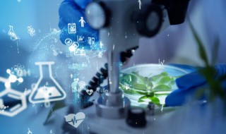 筛管运输什么（导管运输什么）