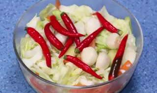 泡菜的简单做法 泡菜的简单做法大全