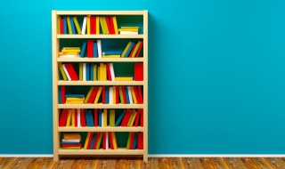 合外力是什么（合外力是什么东西）