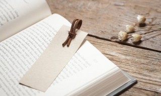 两个书生打一成语疯狂看图说话（二个书生打二个哼字猜成语）