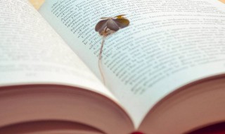 高考主观成绩是什么意思（高考主观成绩是什么意思啊）