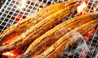 家庭烤鱼的做法及配方（家庭版烤鱼的简单做法）