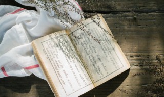 大俗大雅的意思 大俗大雅的意思是什么?