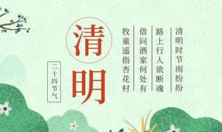 有关清明节的作文（有关清明节的作文300字左右）