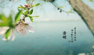 清明节的来历作文 清明节的来历作文300字