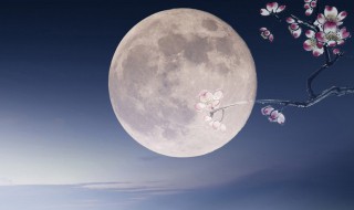 中秋节作文100字（月光下的中秋节作文100字）