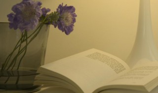 豁然开朗的诗句（表达豁然开朗的诗句）