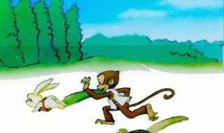 丢了西瓜捡芝麻意思 丢了西瓜又丢了芝麻