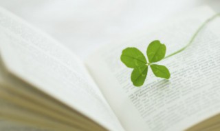 王之涣的边塞诗（王之涣的边塞诗有哪些）