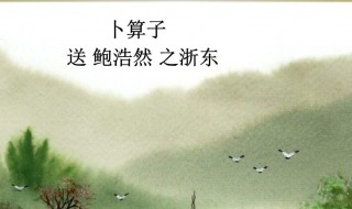 卜算子王观赏析