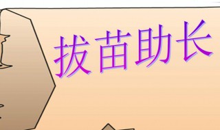 拔苗助长文言文翻译 拔苗助长文言文翻译和注释