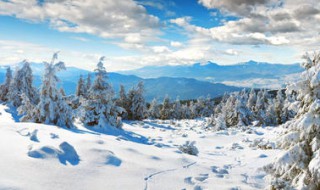 写自然景观的作文 四年级上册写自然景观的作文