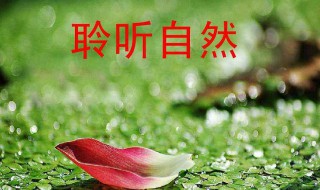 聆听大自然的声音作文（聆听大自然的声音作文600字）