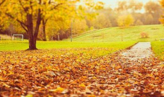 描写秋天的好句子 描写秋天的好句子摘抄