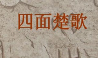 四字开头的成语（四字开头的成语有哪些）