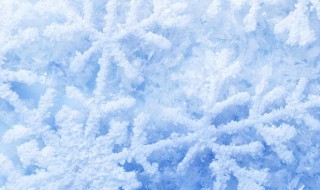 假如我是一朵雪花作文（假如我是一朵雪花作文600字）