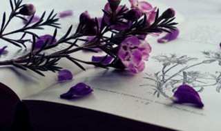 形容生气的词语二个字（形容生气的词语二个字成语）