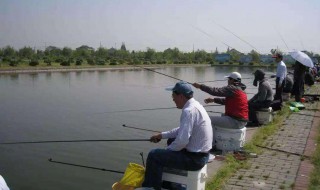 鱼塘承包合同范本 鱼塘承包合同范本通用版