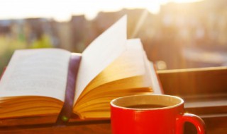 描写梅花的诗（描写梅花的诗词名句）