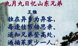 九月九日忆山东兄弟的诗意是什么 九月九日忆山东兄弟的诗意是什么简单的