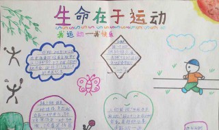 体育手抄报内容（体育手抄报内容简短）