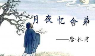 露从今夜白（露从今夜白,月是故乡明）