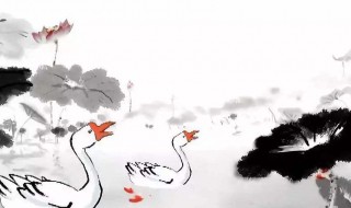 咏鹅骆宾王原文（咏鹅骆宾王唐诗）