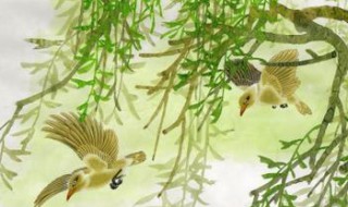 两个黄鹂鸣翠柳全诗 两个黄鹂鸣翠柳全诗原文
