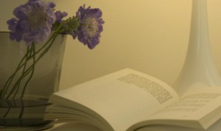 形容林黛玉的诗句 曹雪芹形容林黛玉的诗句