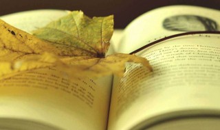 关于鲁迅的手抄报内容（关于鲁迅的手抄报内容图片）