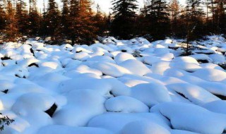 雪白雪白的什么 雪白雪白的什么填空词语