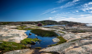 美仑美奂的意思 美仑美奂的意思视频在线观看