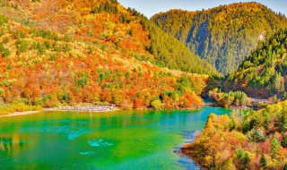 关于九寨沟的资料（关于九寨沟的资料和特色和美景）