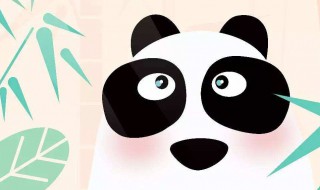 关于熊猫的故事 关于熊猫的故事真实
