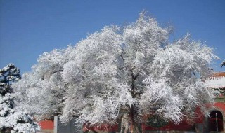 飘飘洒洒的意思（飘飘洒洒的意思造句子）