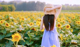 有关坚持不懈的名言（有关坚持不懈的名言名句）