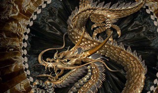 含龙的成语（含龙的成语的四字词语）