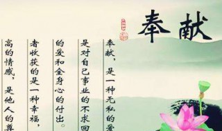 关于奉献精神的名言（关于奉献精神的名言诗句）