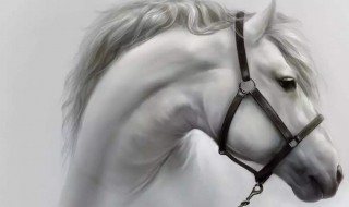 带有马的成语（带有马的成语100个字）